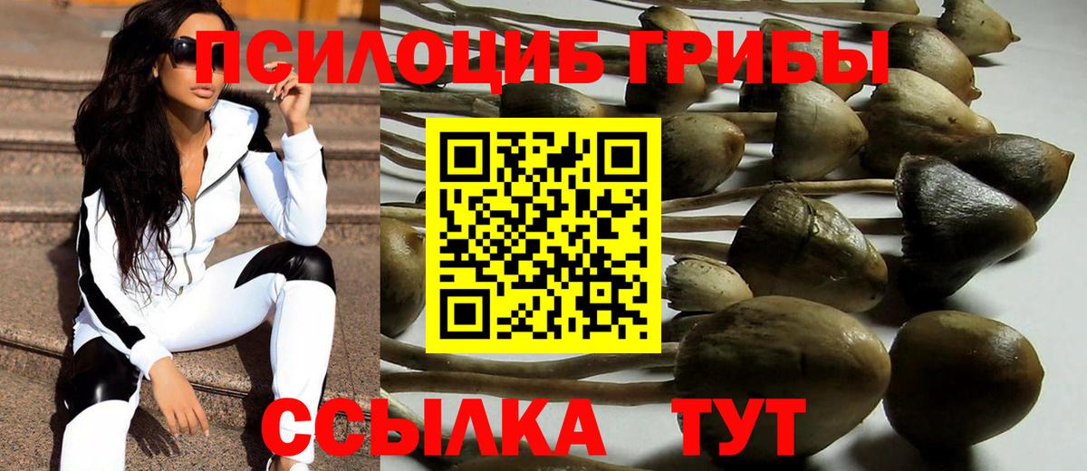Псилоцибиновые грибы GOLDEN TEACHER Усолье-Сибирское