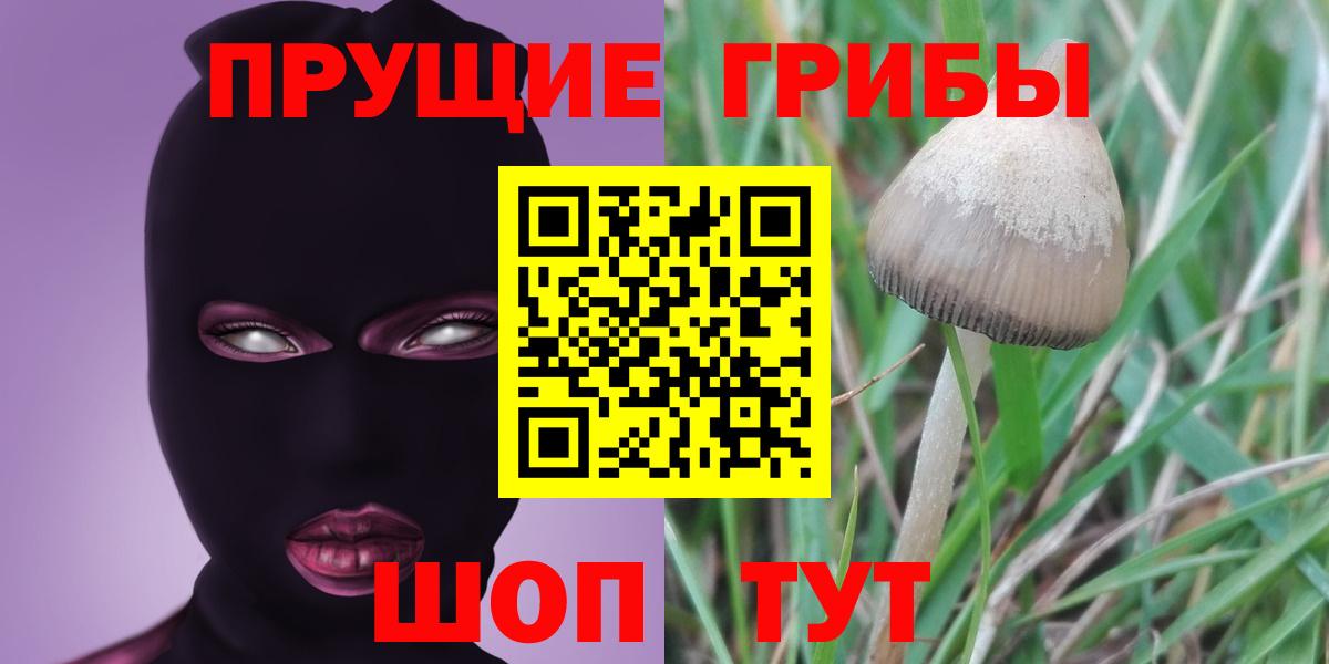 как найти закладки  Вход с VPN  Усолье-Сибирское  Галлюциногенные грибы MAGIC MUSHROOMS  Псилоцибиновые грибы GOLDEN TEACHER 